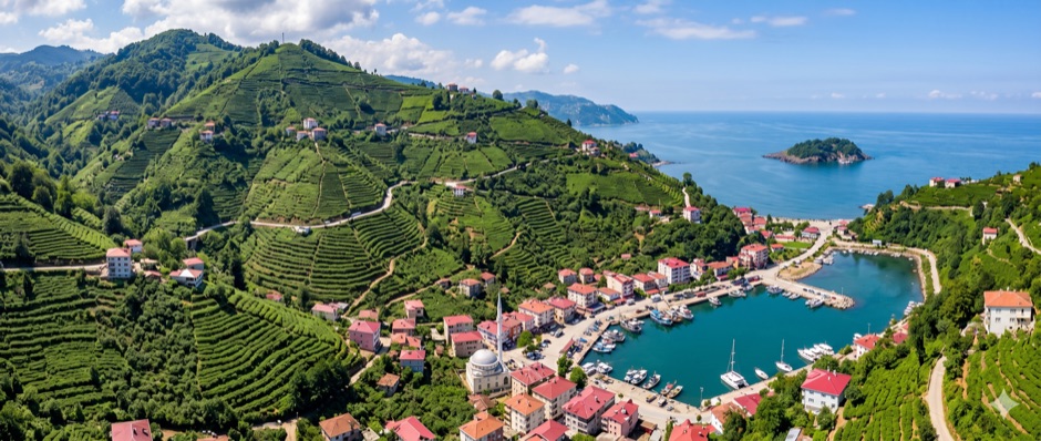 Ordu-Giresun Havalimanı (OGU)